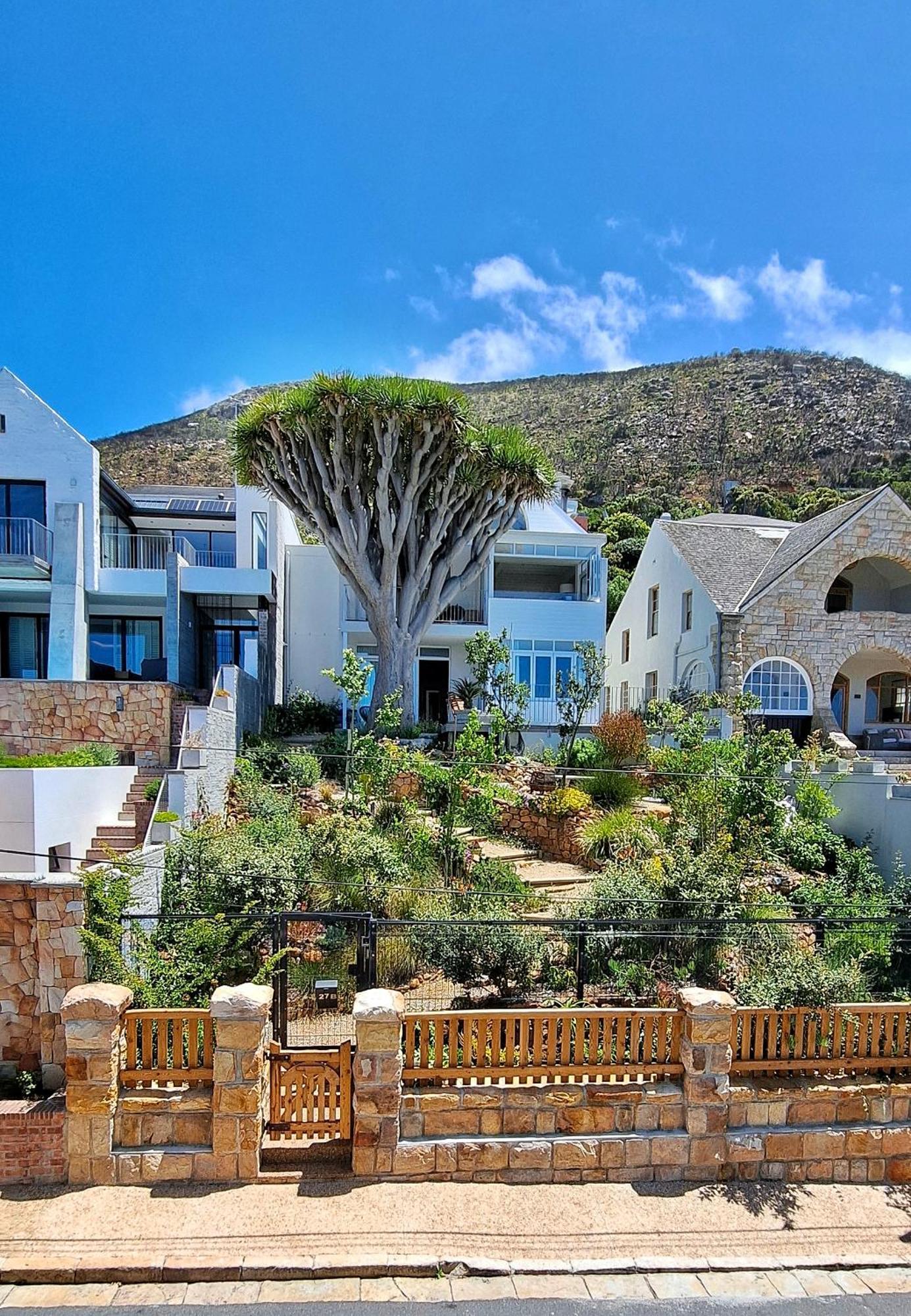 The Dragon Tree Guesthouse Kalk Bay Exterior photo