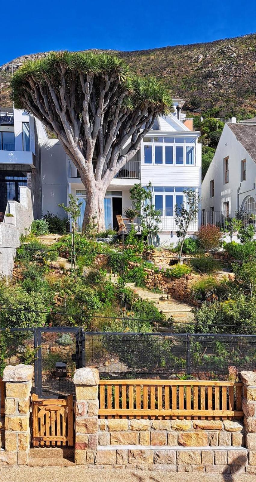 The Dragon Tree Guesthouse Kalk Bay Exterior photo